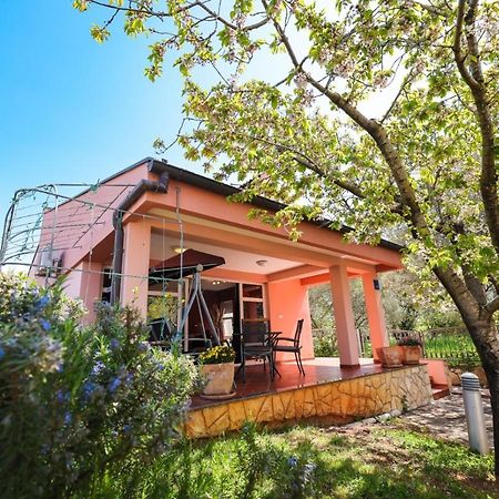 Holiday Home Cvita Sukošan Exterior foto